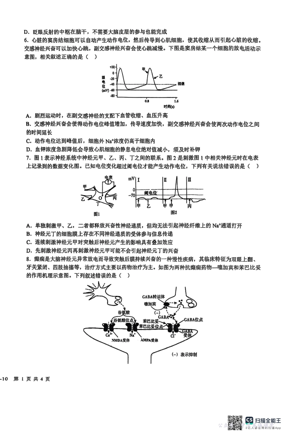 树德中学高2024级高二上学期10月阶段性测试生物+答案.pdf_第2页