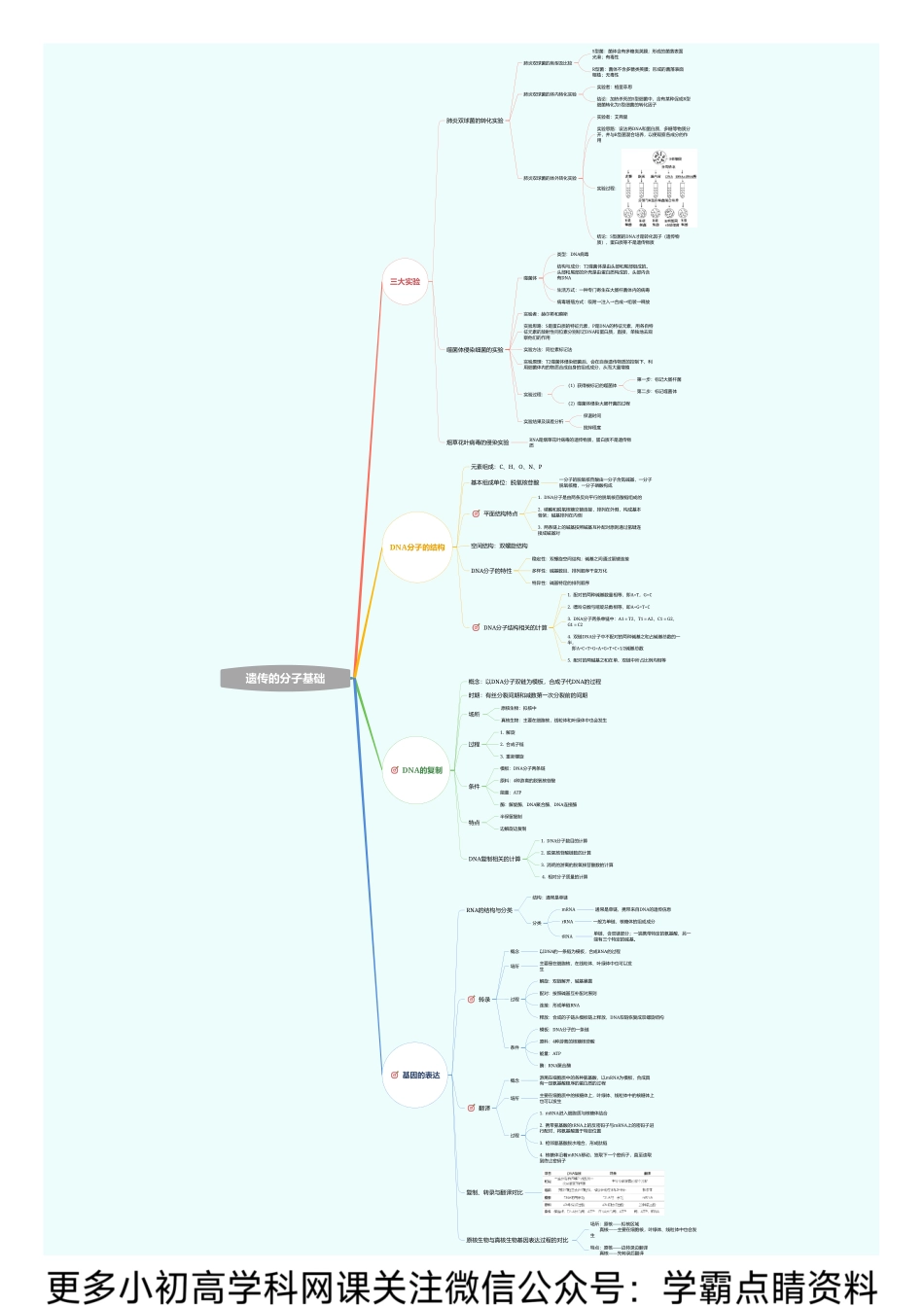 思维导图模块5：遗传的分子基础.pdf_第1页
