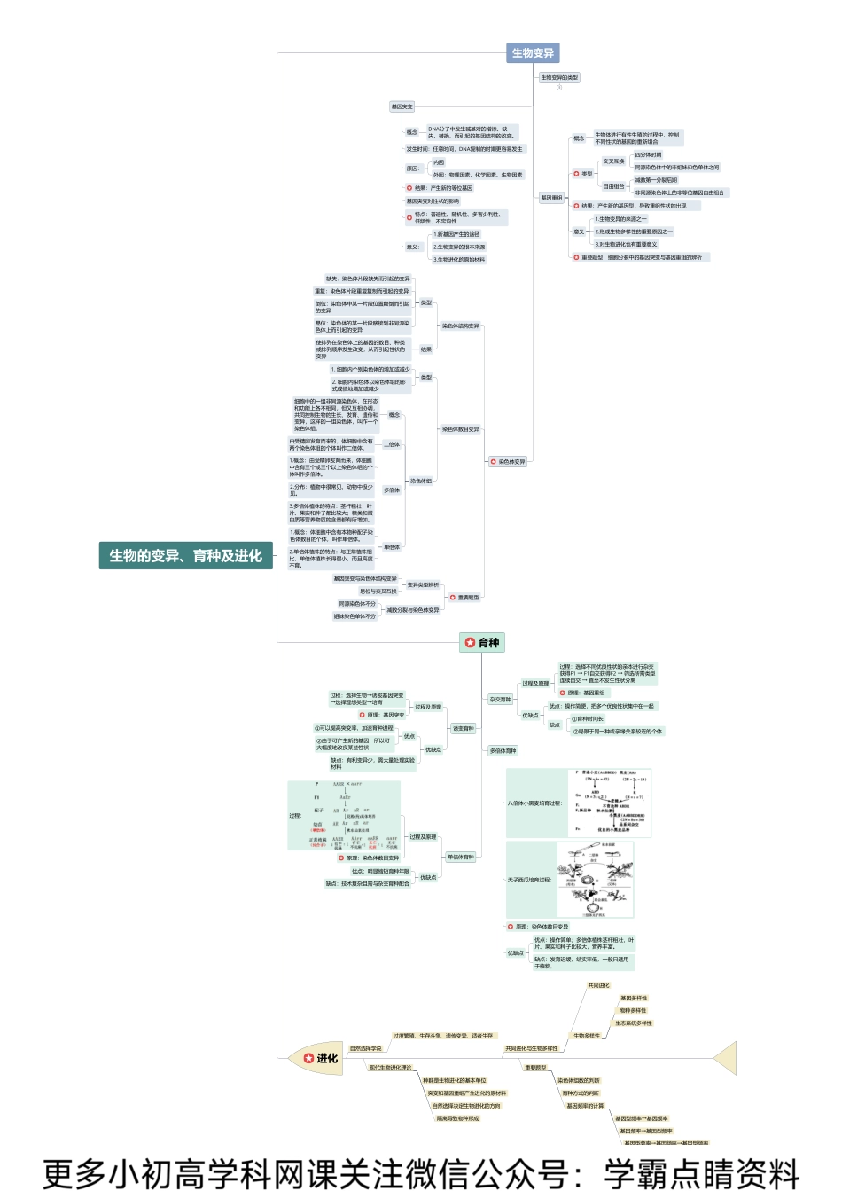 思维导图模块7:生物的变异、育种及进化.pdf_第1页