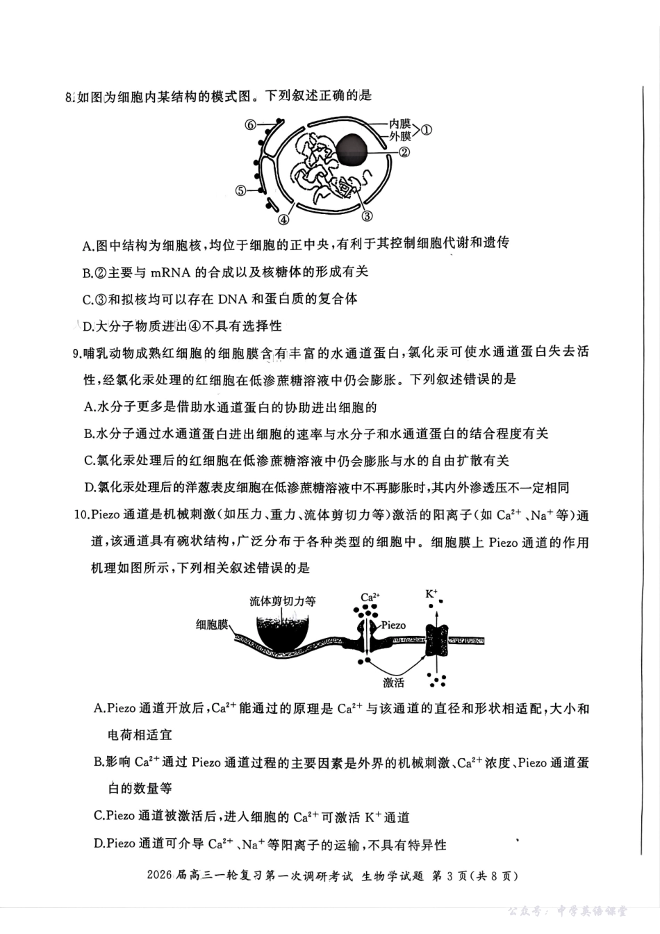 四川省百师联盟2026届高三一轮复习第一次调研考试生物.pdf_第3页