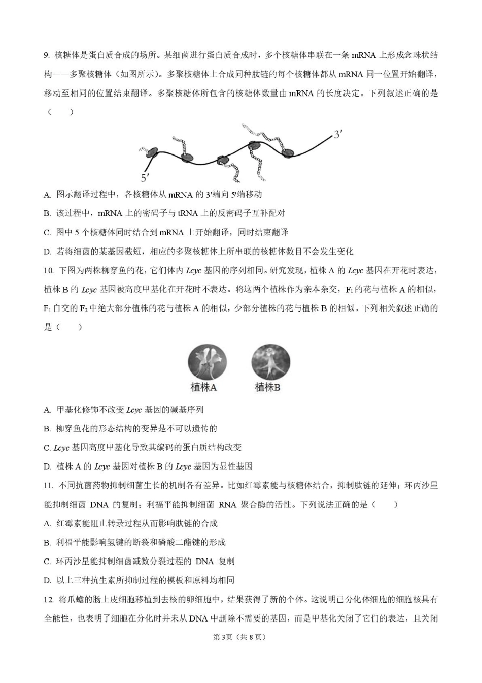 四川省德阳市第五中学2025-2026学年高二上学期开学考试生物试题(含答案).pdf_第3页