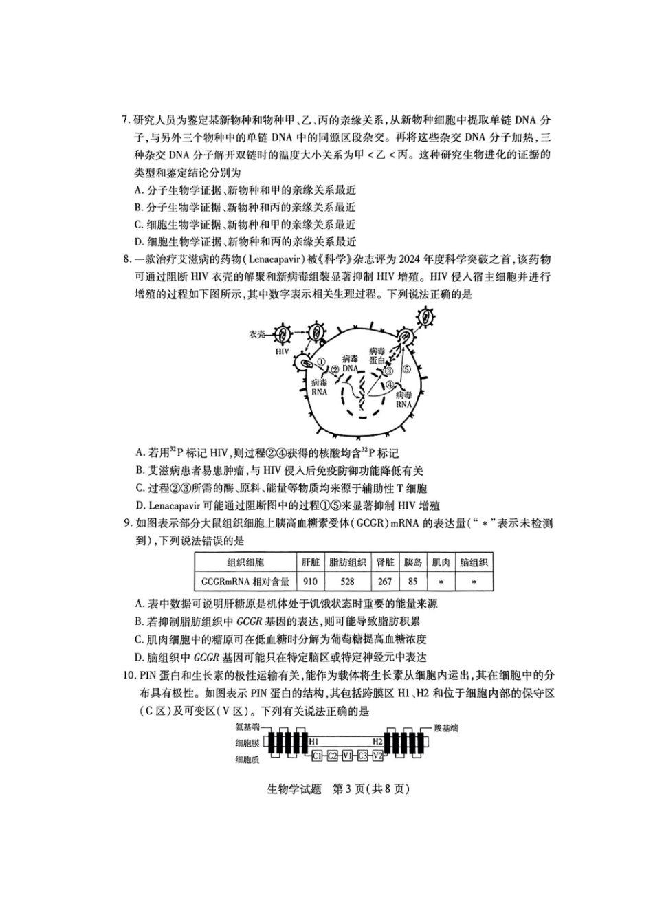 天一大联考2024-2025学年高中毕业班阶段性测试(六)(3.18-3.19)【生物试题卷+答案】.pdf_第3页