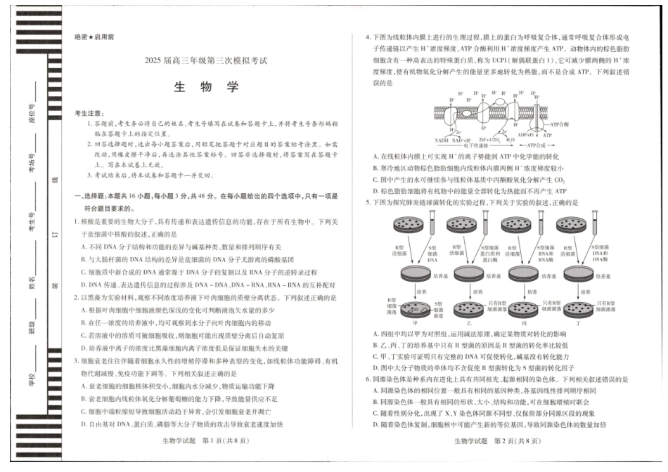 天一大联考2025届高三年级第三次模拟考试(5.6-5.8)生物试卷+答案.pdf_第1页