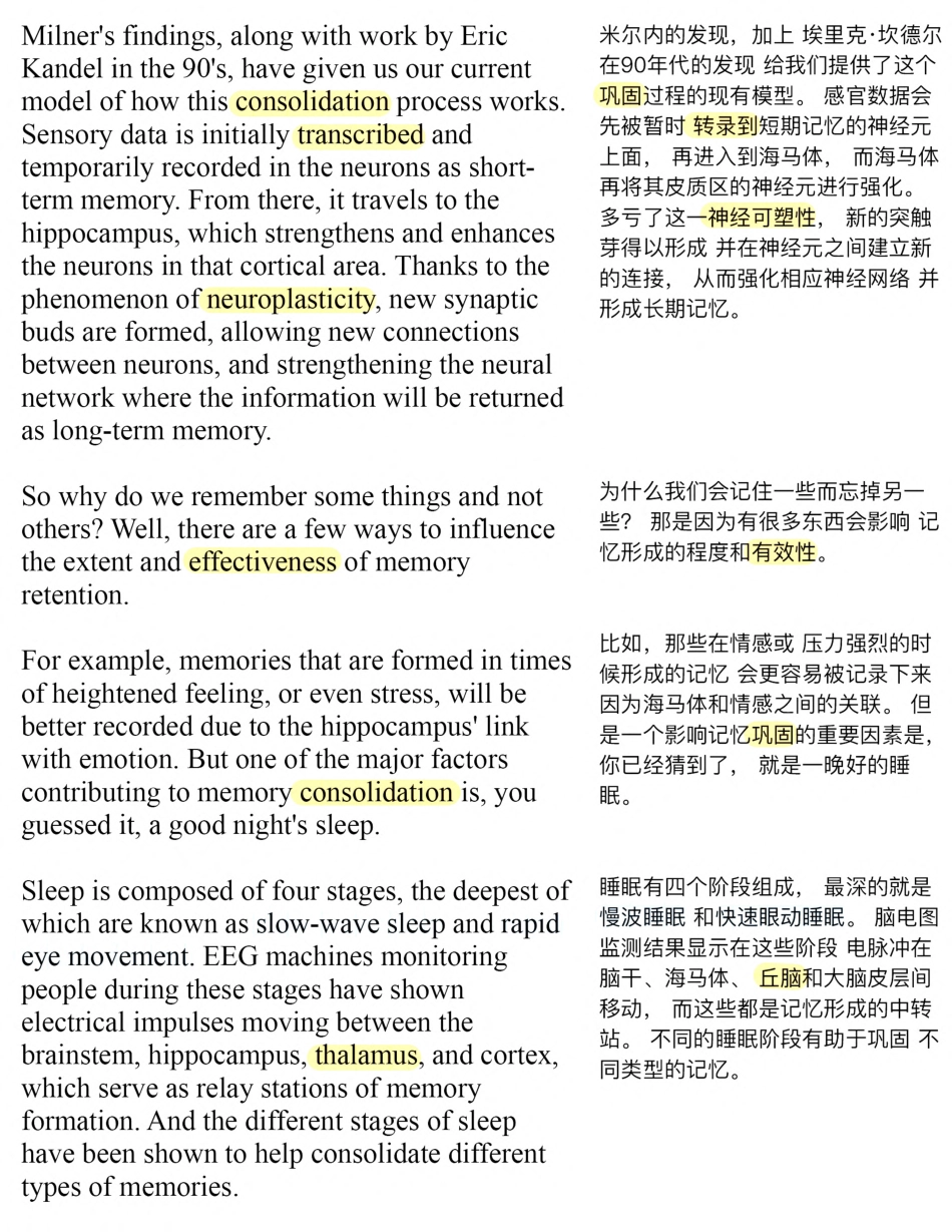 Copy of 是睡个好觉，还是熬夜学习.pdf_第3页