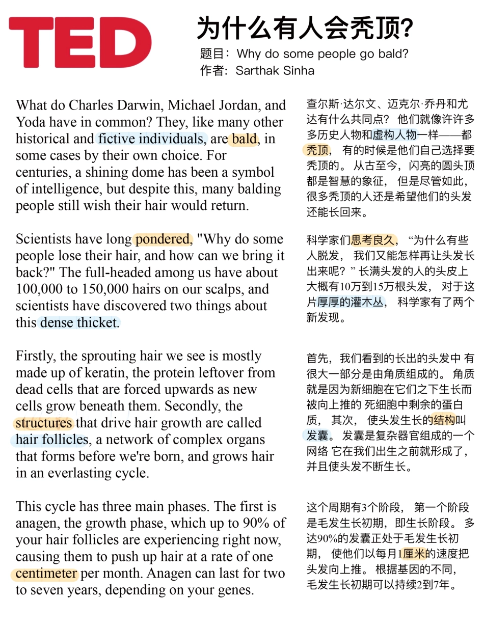 Copy of 为什么有人会秃顶？.pdf_第1页