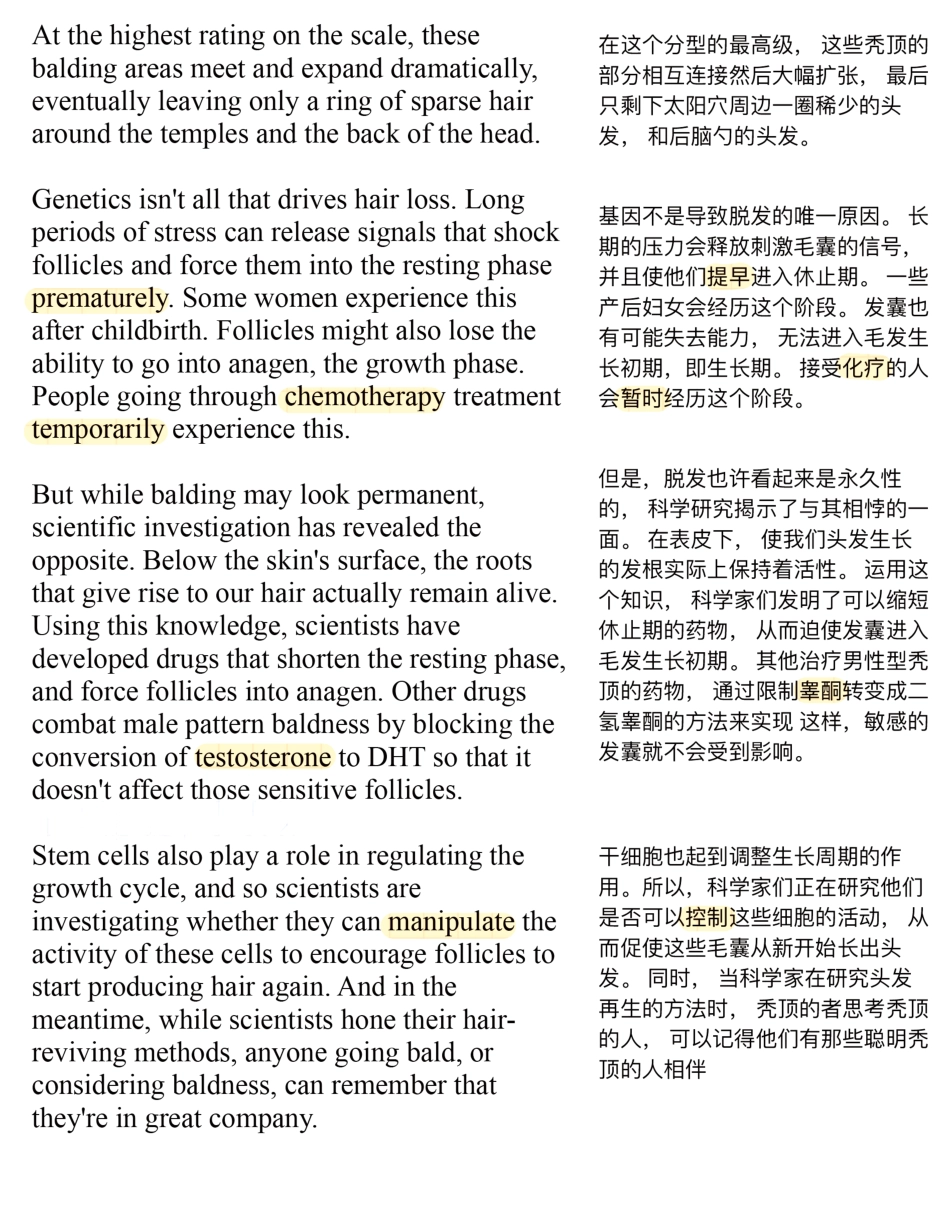 Copy of 为什么有人会秃顶？.pdf_第3页