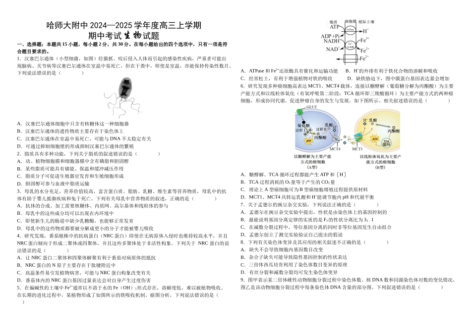 2024—2025学年度高三上学期期中生物试题.docx_第1页