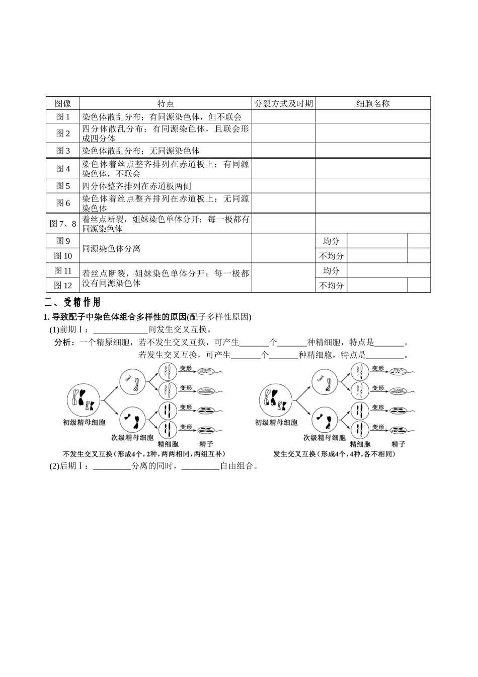 第2章基因和染色体的关系-【必背知识】高一生物章节知识清单(人教版必修2)(填空版).docx_第3页