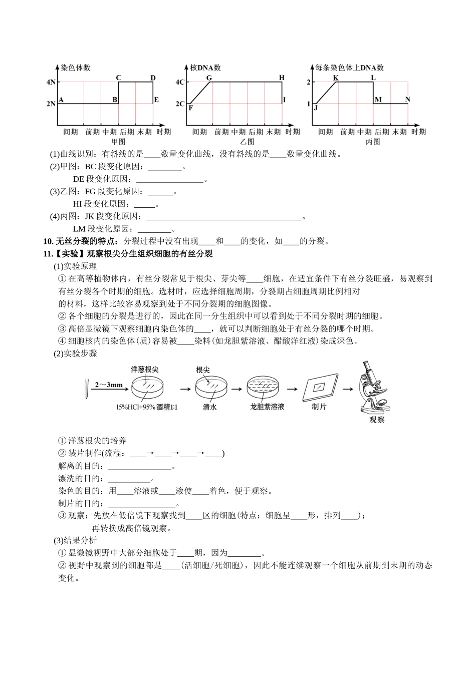 第6章细胞的生命历程-【必背知识】高一生物章节知识梳理(人教版必修第一册)(填空版).docx_第3页