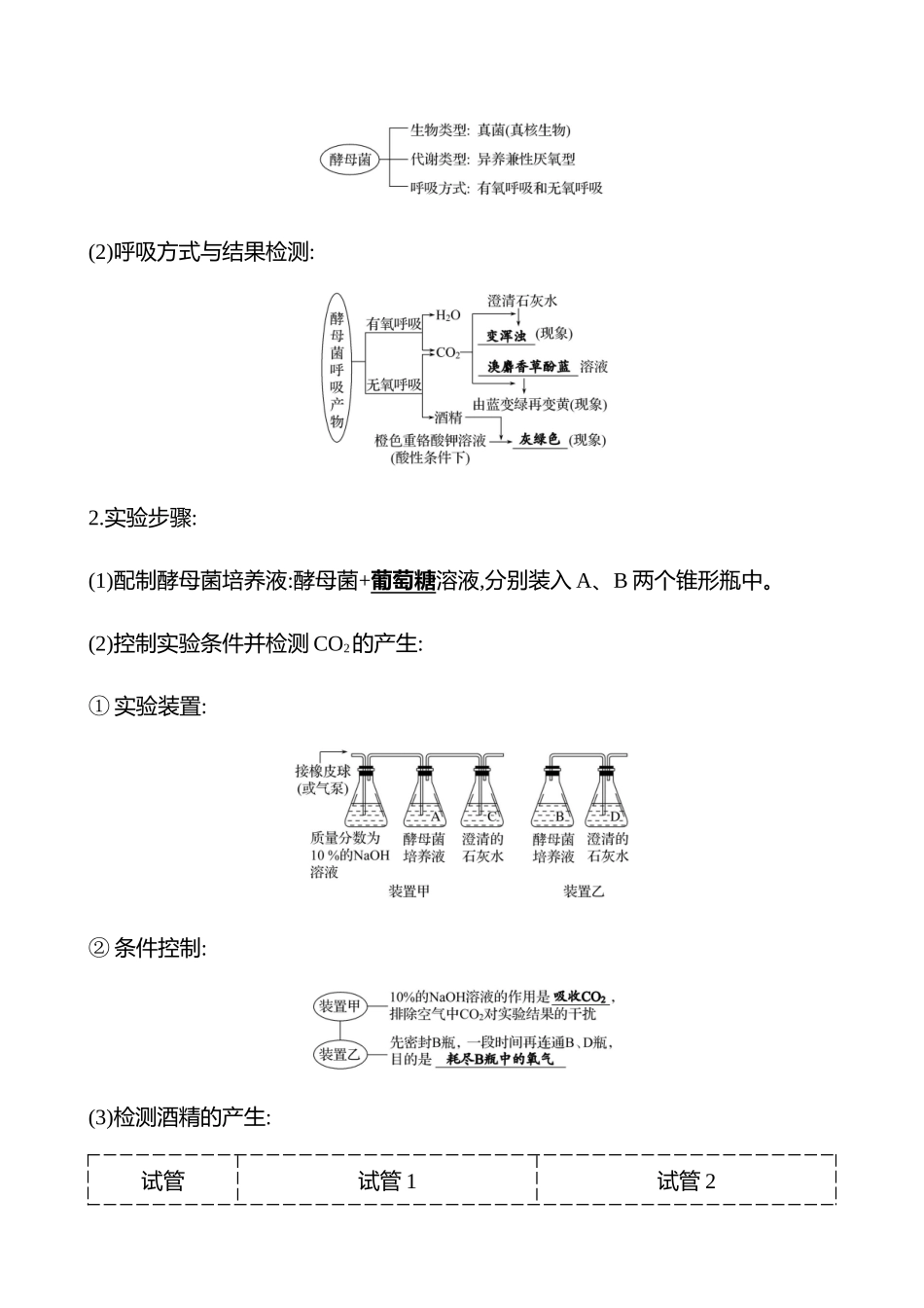 第二单元第3讲细胞呼吸的原理和应用.docx_第2页