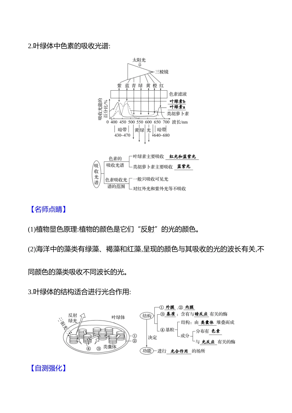第二单元第4讲捕获光能的色素和结构、光合作用的原理.docx_第3页