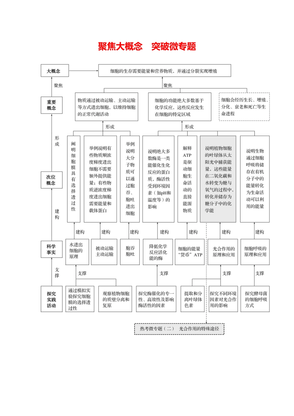 第二单元聚焦大概念突破微专题.docx_第1页