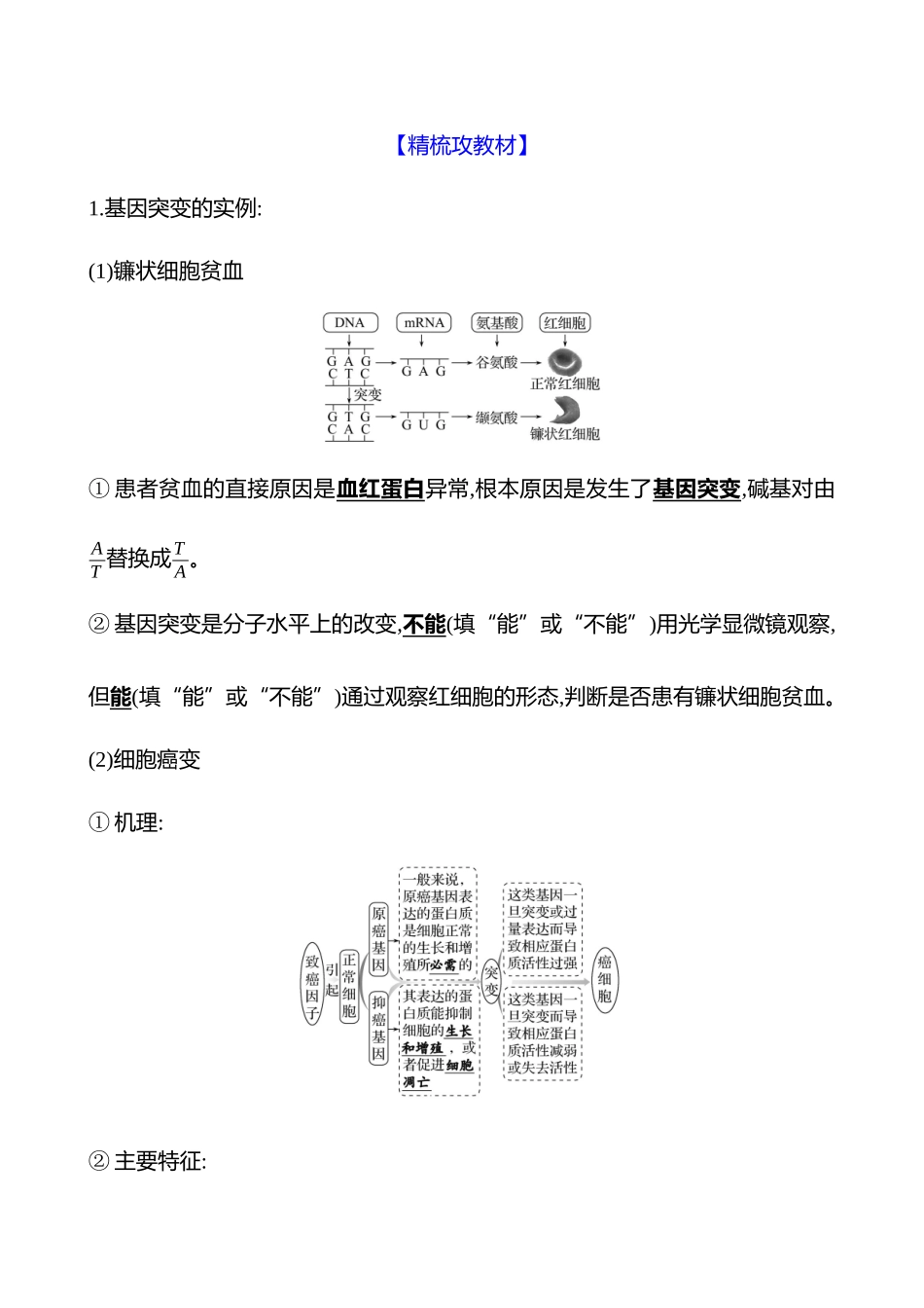 第六单元第30讲基因突变和基因重组.docx_第2页