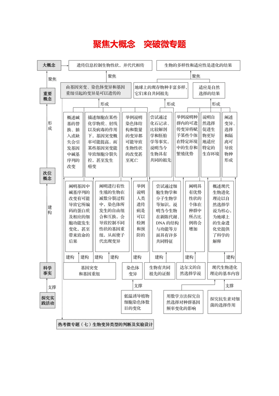 第六单元聚焦大概念突破微专题.docx_第1页
