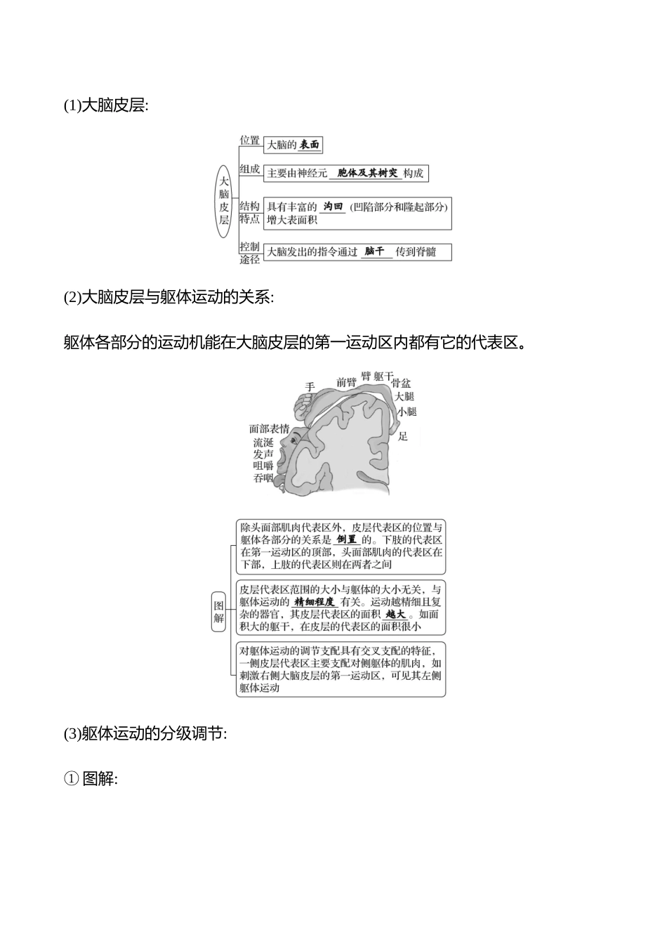 第七单元第36讲神经系统的分级调节及人脑的高级功能.docx_第2页