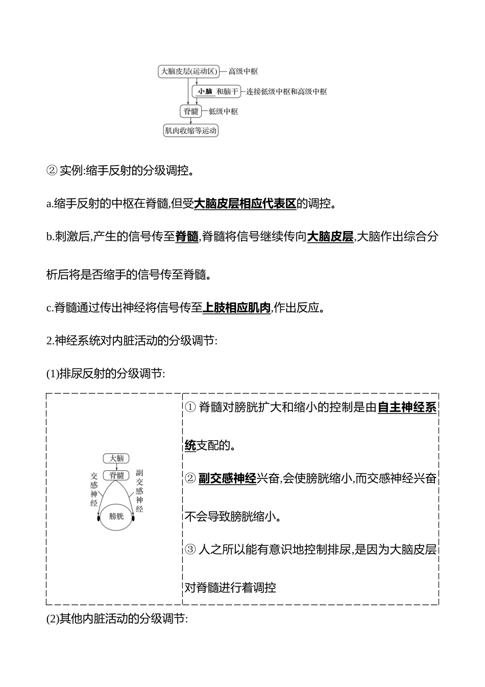 第七单元第36讲神经系统的分级调节及人脑的高级功能.docx_第3页