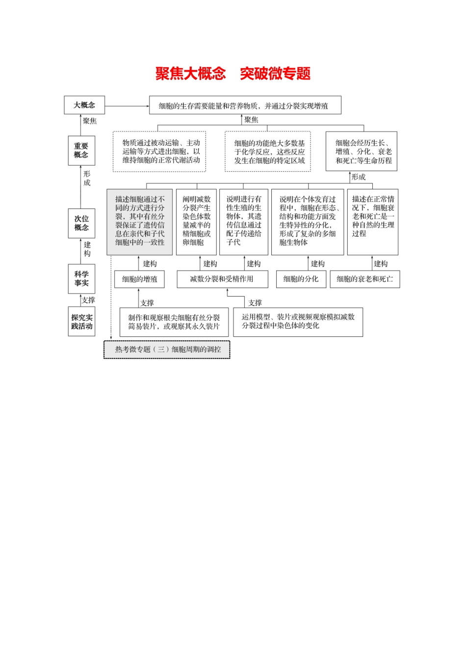 第三单元聚焦大概念突破微专题.docx_第1页