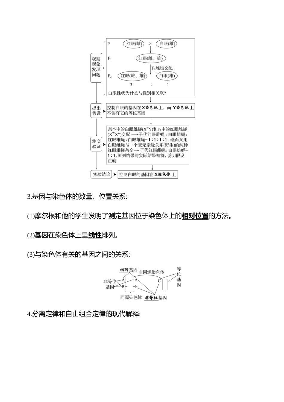第四单元第24讲基因在染色体上、伴性遗传.docx_第3页