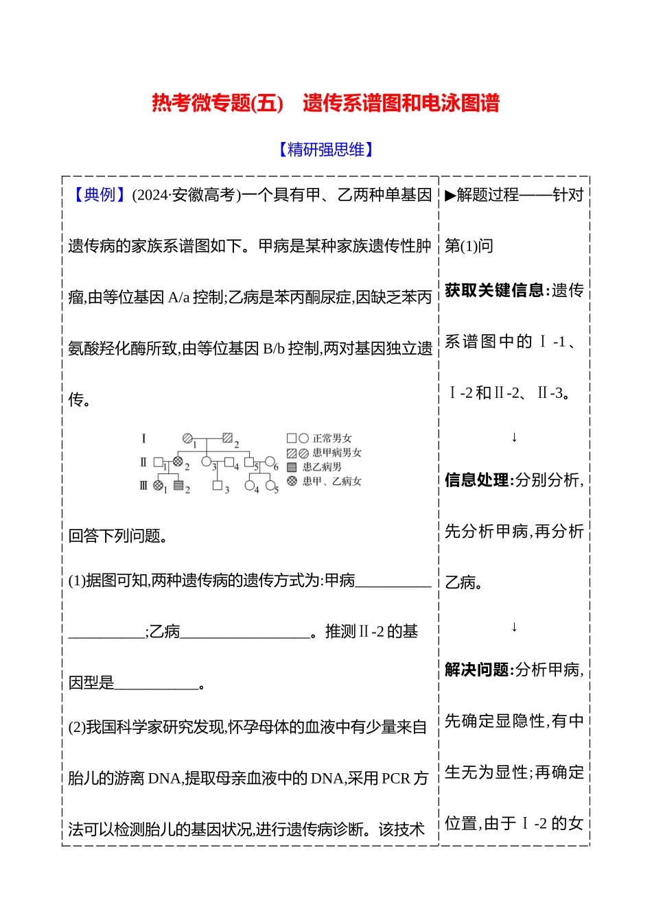 第四单元热考微专题(五)遗传系谱图和电泳图谱.docx_第1页