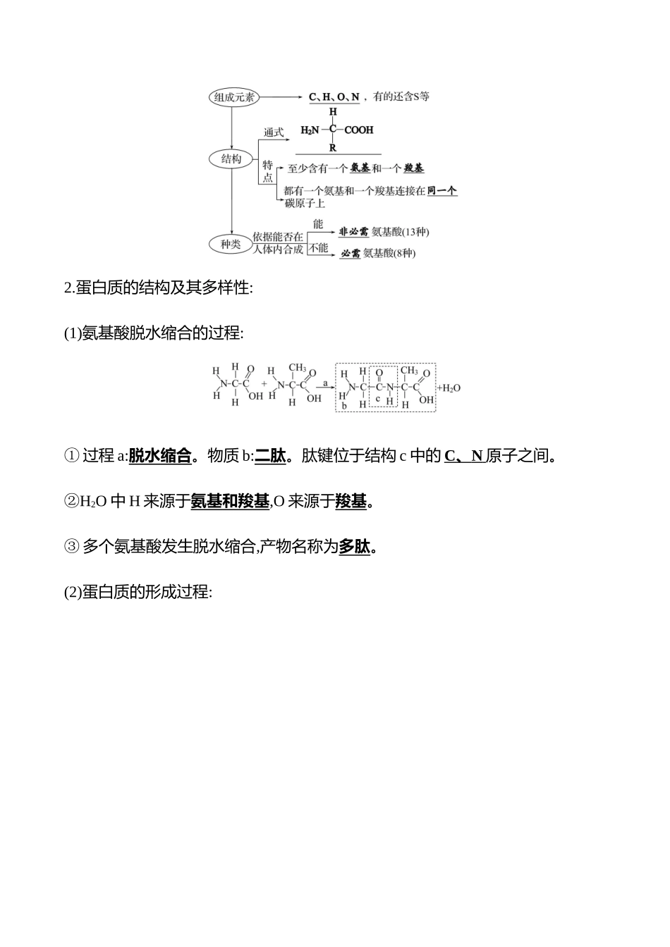 第一单元第4讲蛋白质是生命活动的主要承担者.docx_第2页
