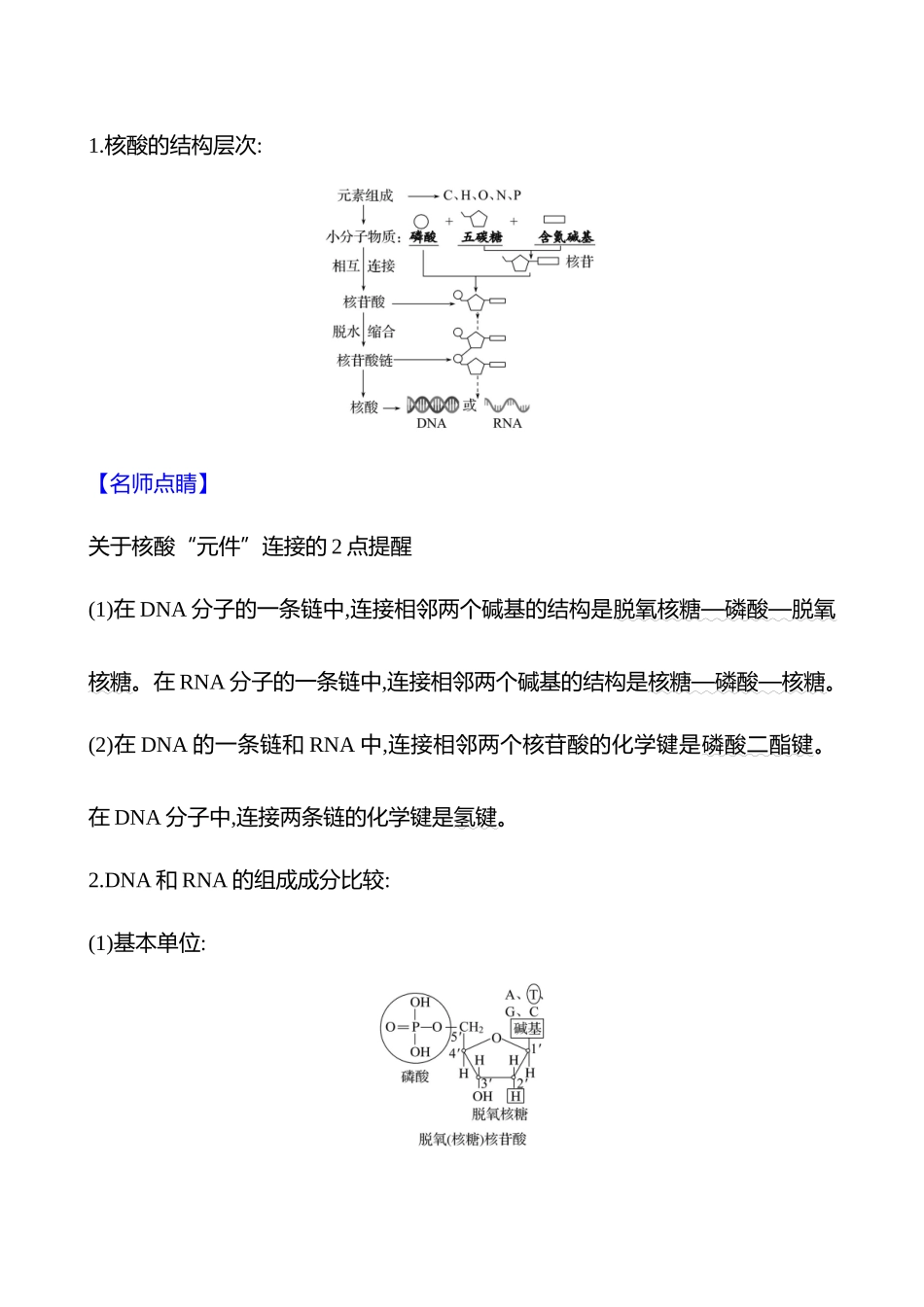 第一单元第5讲核酸是遗传信息的携带者.docx_第2页