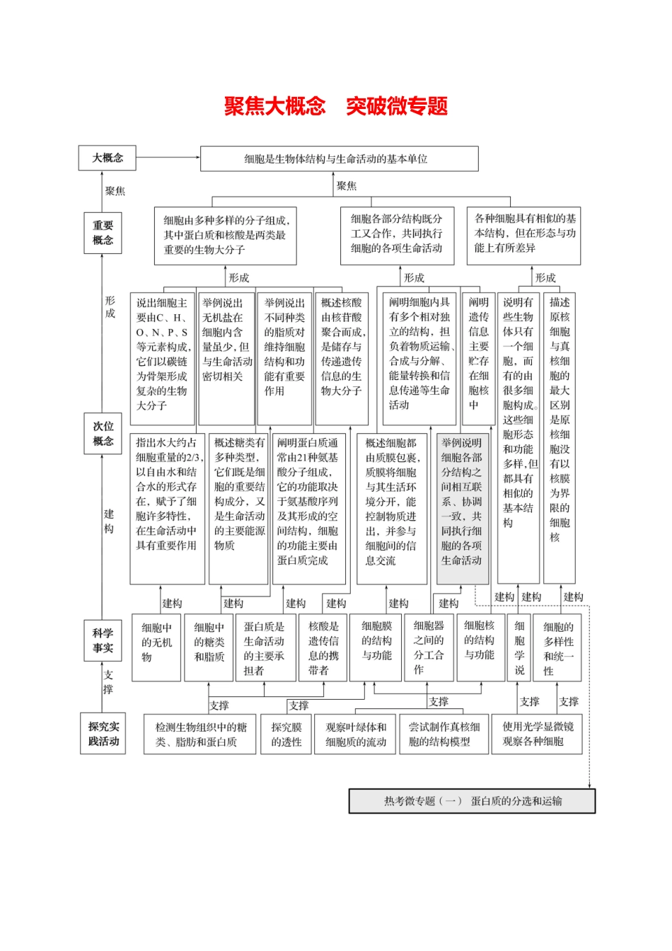 第一单元聚焦大概念突破微专题.docx_第1页
