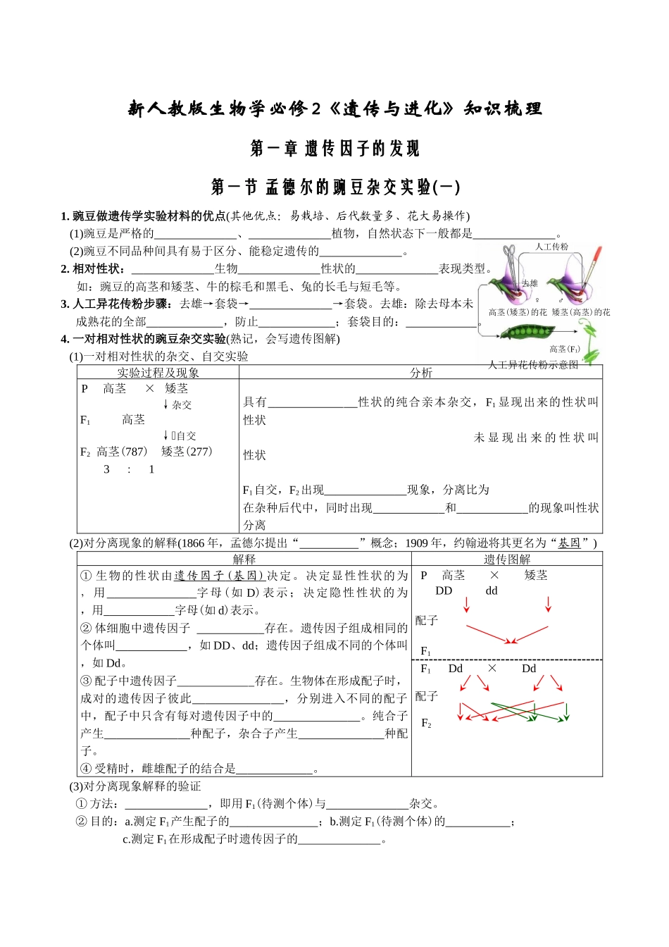 第章遗传因子的发现-【必背知识】高一生物章节知识清单（人教版必修2）（填空版）.docx_第1页