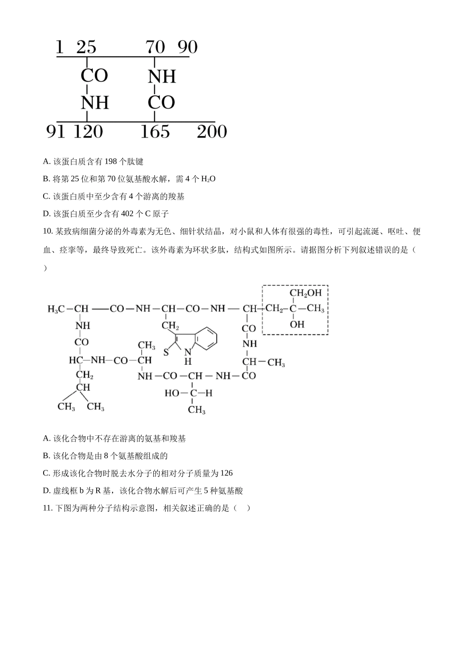 福建省福州市福9联盟校2024-2025学年高一上学期月期中生物试题.docx_第3页