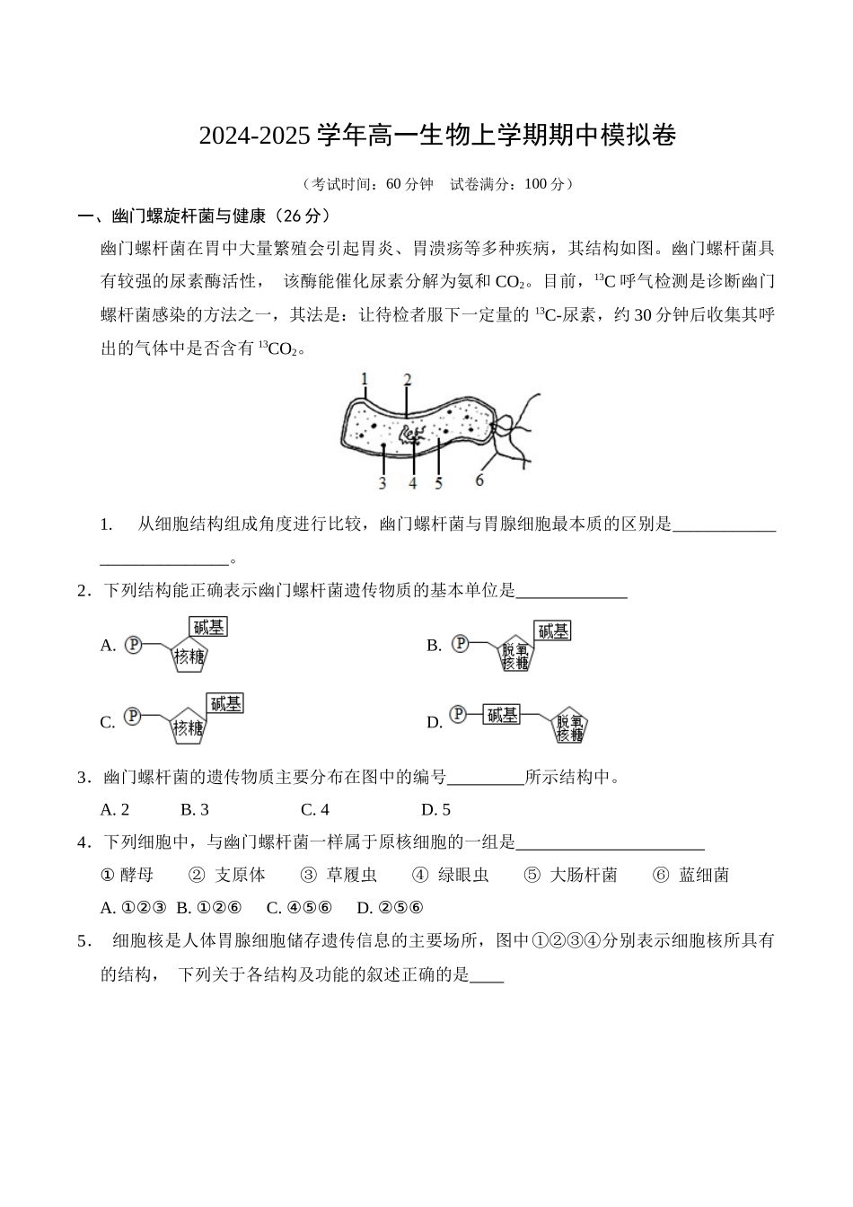 高一生物期中模拟卷(考试版)(上海专用).docx_第1页