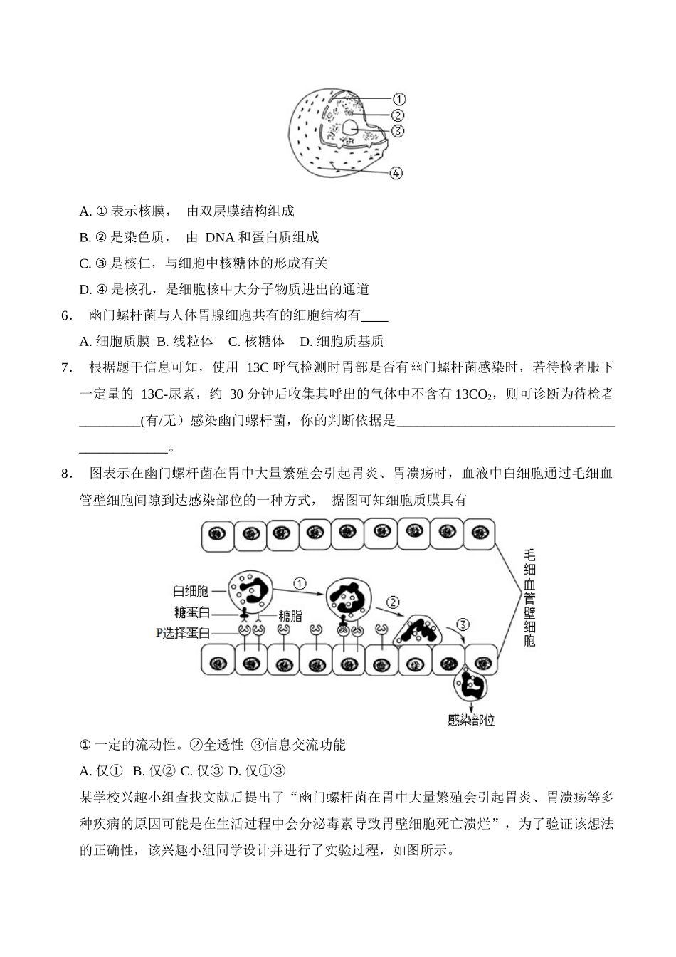 高一生物期中模拟卷(考试版)(上海专用).docx_第2页