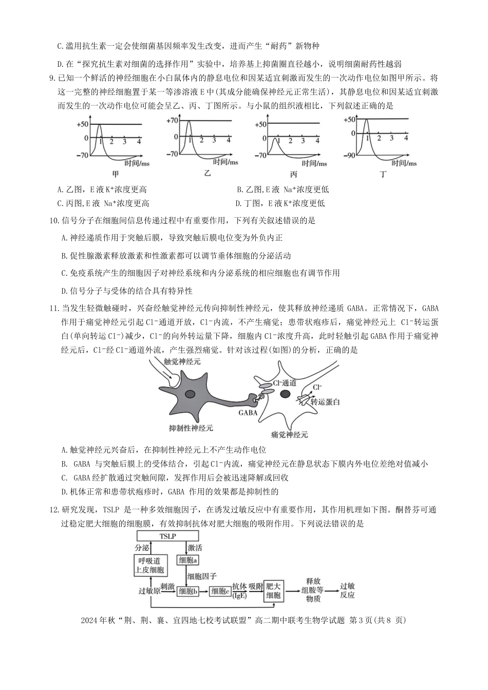 湖北省“荆、荆、襄、宜四地七校考试联盟”2024-2025学年高二上学期期中联考生物试卷.docx_第3页