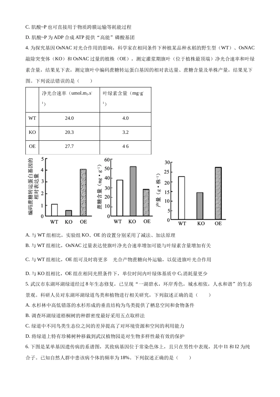 湖北省武汉市东西湖区华中师范大学第一附属中学2024-2025学年高三上学期月期中生物试题(原卷版).docx_第2页