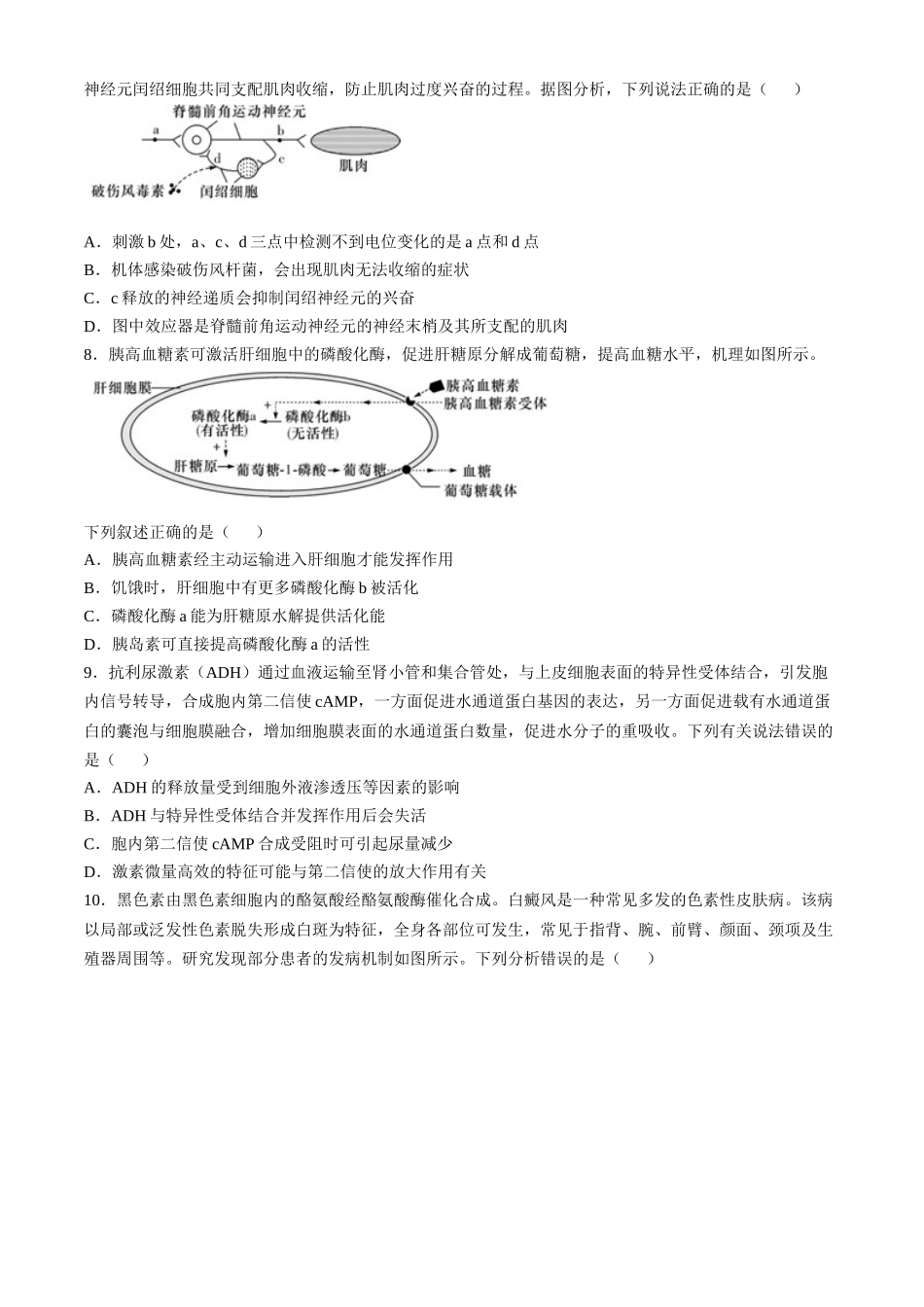 湖南省长沙市师大附中2024-2025学年高二上学期月期中考试生物试卷含解析.docx_第3页