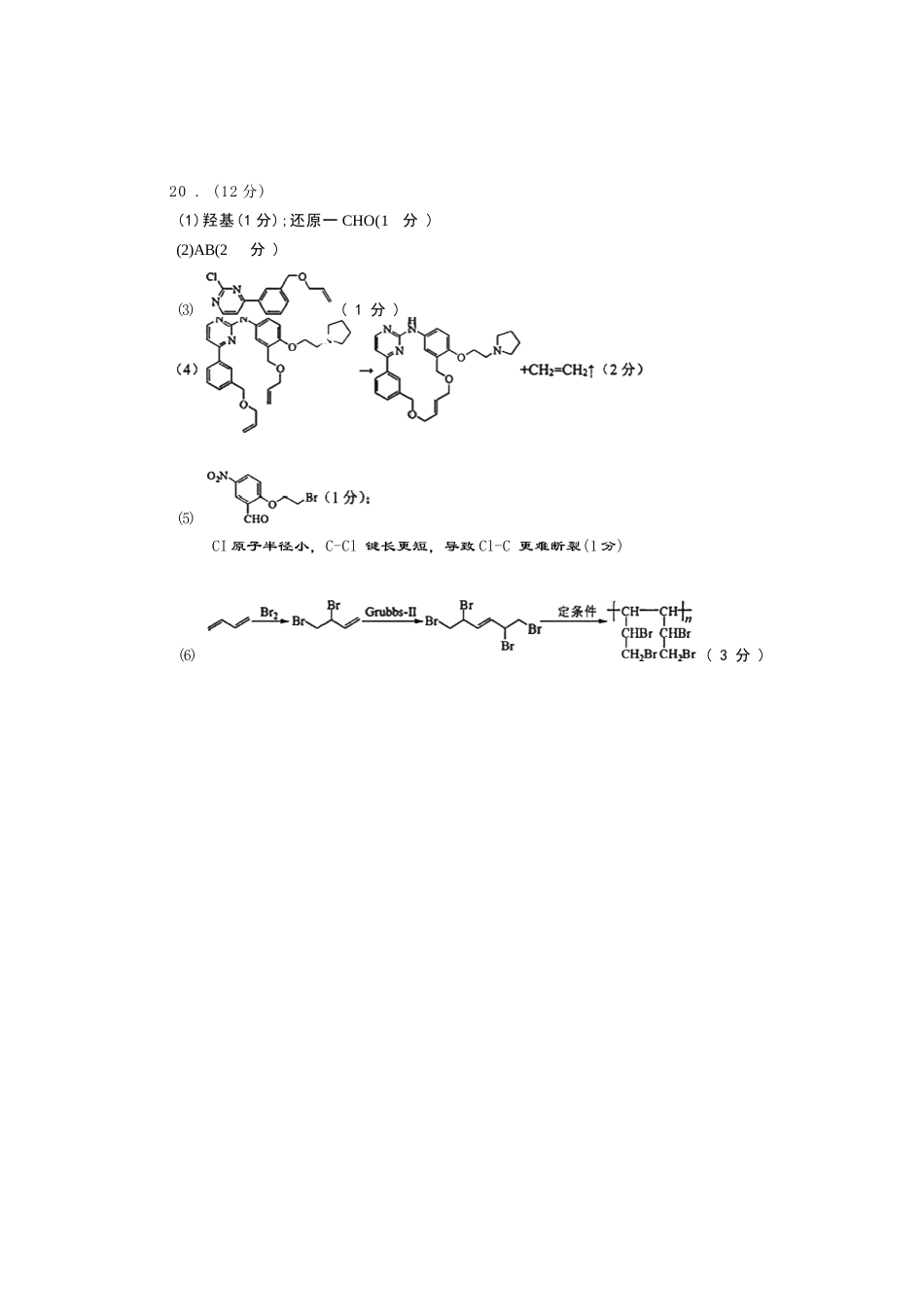 化学试卷答案浙江省宁波市2025学年第一学期高考模拟考试(宁波一模)(.5-.7).docx_第3页