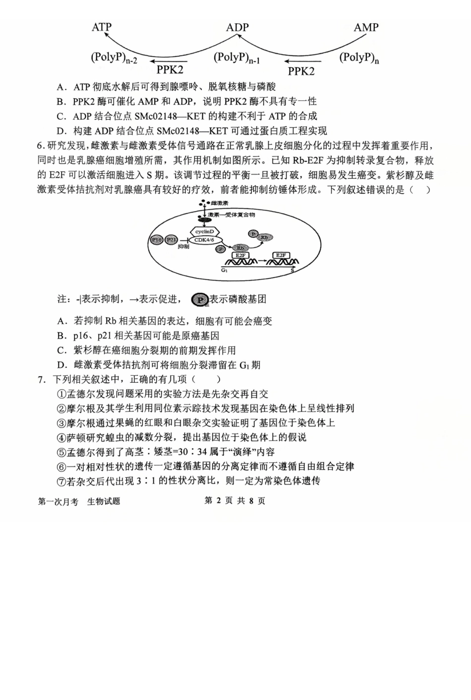 生物试卷+答案河南省南阳市第一中学2026届高三上学期第一次月考(0.5左右).docx_第2页