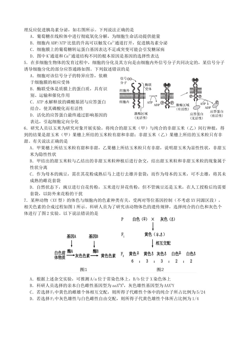 四川省成都市石室中学2024-2025学年高三上学期期中考试生物.docx_第2页