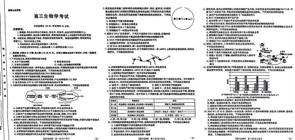 新疆金太阳2024-2025学年高三上学期9月第一次质量检测(金太阳下标XJ)(9.12-9.13)生物试卷.pdf_第1页