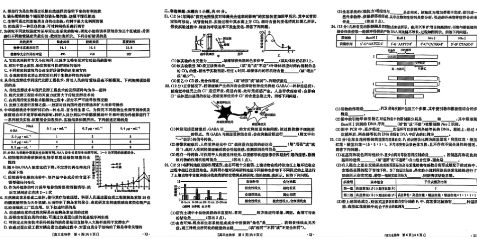 新疆金太阳2024-2025学年高三上学期9月第一次质量检测(金太阳下标XJ)(9.12-9.13)生物试卷.pdf_第2页
