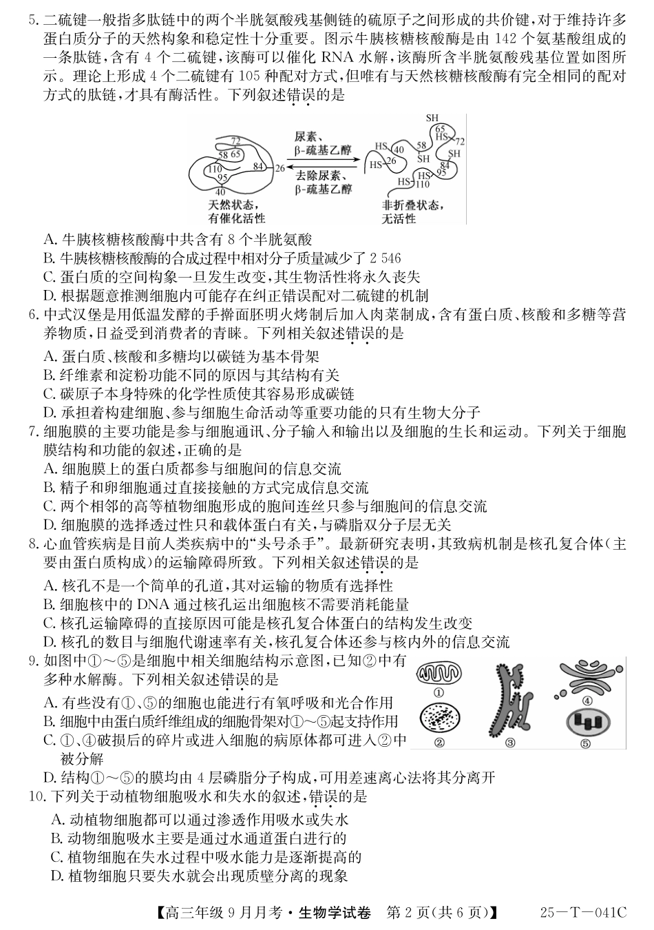 新疆维吾尔自治区喀什第二中学2024-2025学年高三上学期9月份月考(金太阳25-T-041C)(9.28-9.29)生物试卷.pdf_第2页