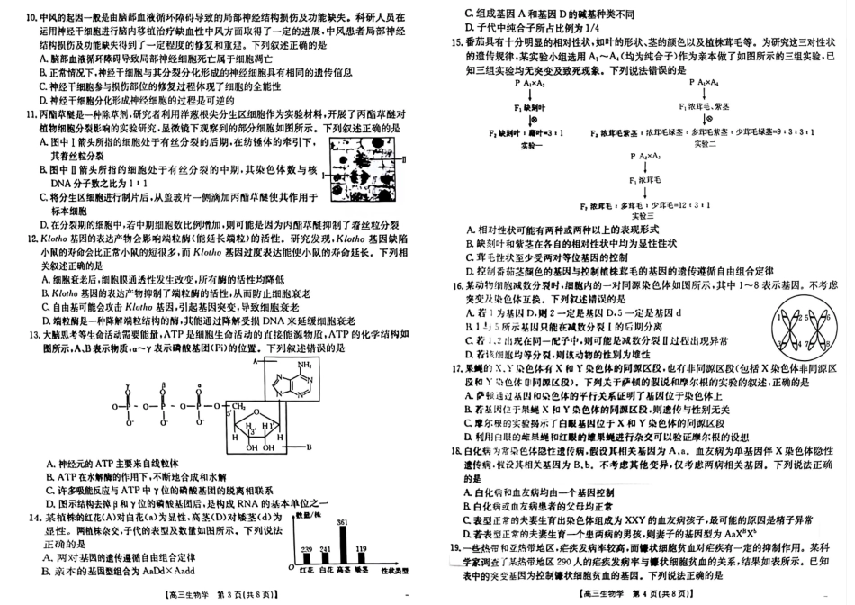 新疆维吾尔族自治区2025届高三年级金太阳10月联考（金太阳25-80C）（10.29-10.31）生物试卷.pdf_第3页