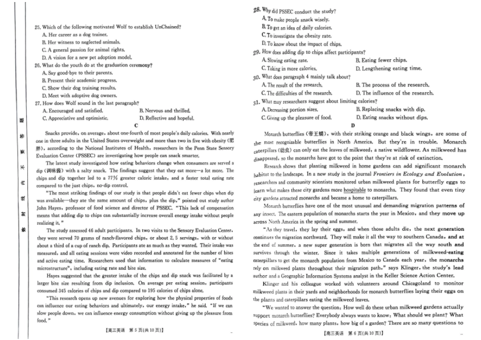 新疆维吾尔族自治区2025届高三年级金太阳10月联考（金太阳25-80C）（10.29-10.31）英语试卷.pdf_第3页