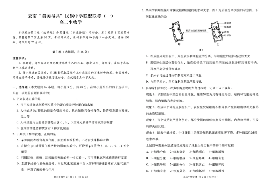 云南省“美美与共”民族中学联盟2025-2026学年高二上学期联考（一）生物试题.pdf_第1页