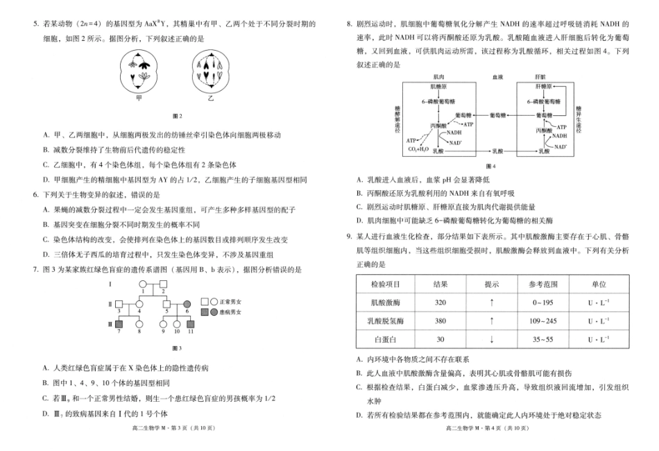 云南省“美美与共”民族中学联盟2025-2026学年高二上学期联考（一）生物试题.pdf_第2页
