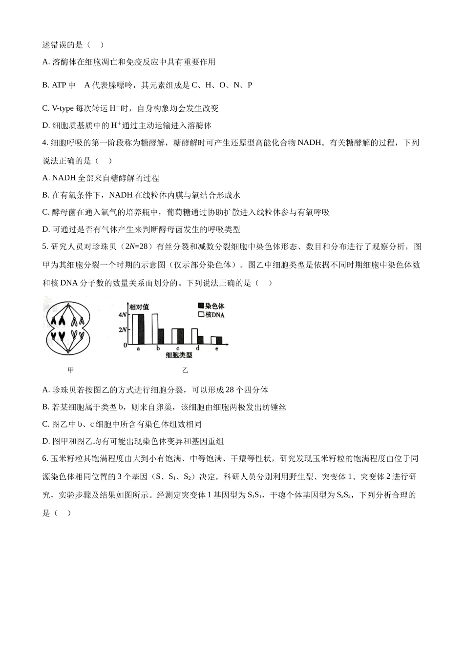 云南省大理白族自治州宾川县高平第一完全中学2024-2025学年高三上学期期中考试生物试题.docx_第2页