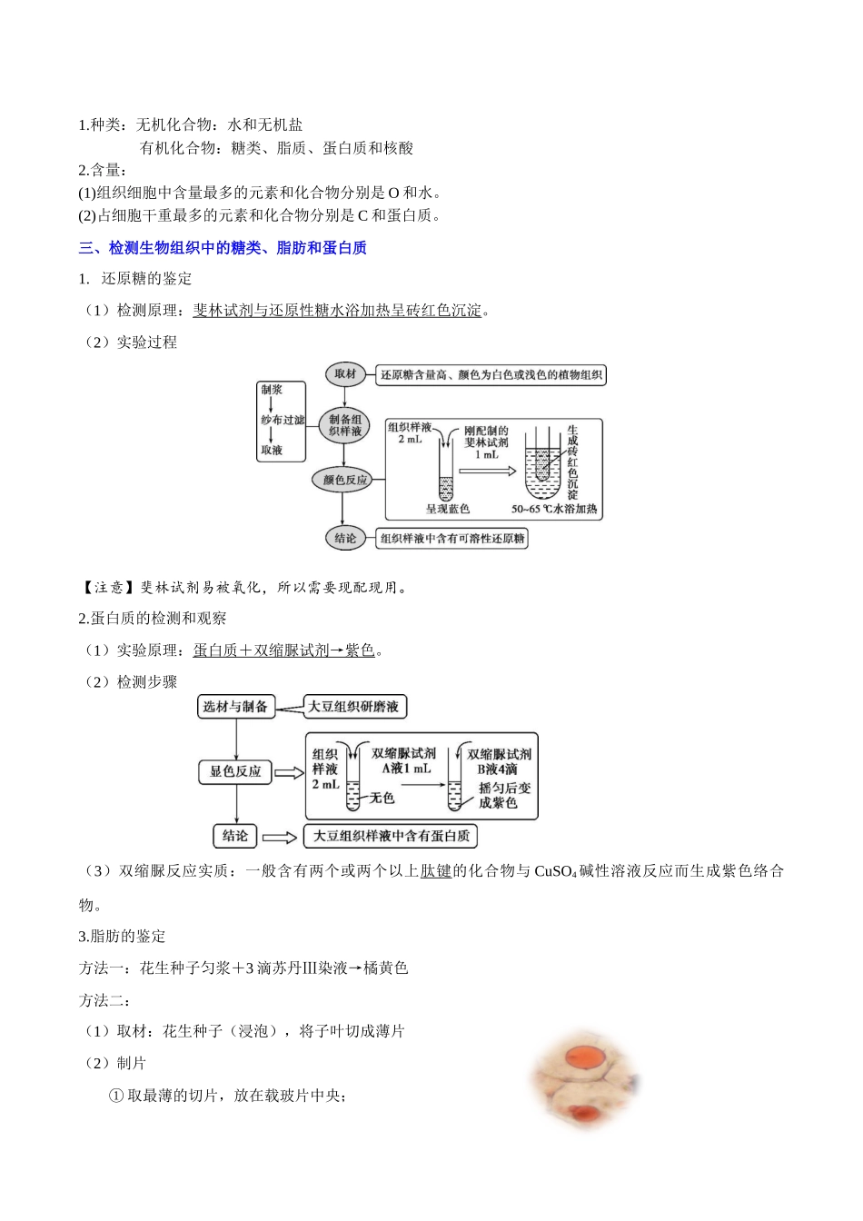 专题02组成细胞的分子(知识梳理)-【学考复习】2024年高中生物学业水平考试必备考点归纳与测试.docx_第2页