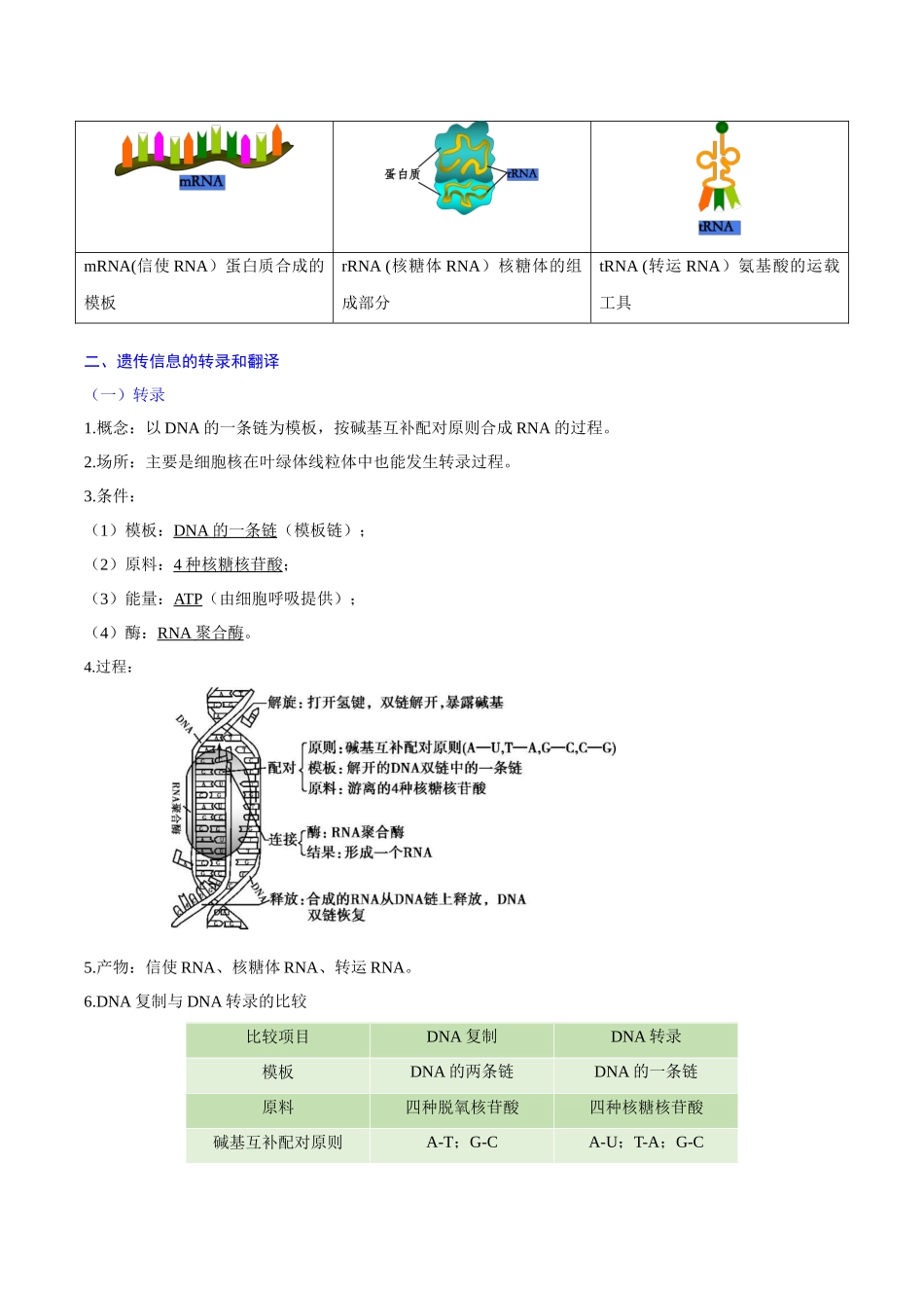 专题04基因的表达(知识梳理)-【学考复习】2024年高中生物学业水平考试必备考点归纳与测试(新教材专用).docx_第2页