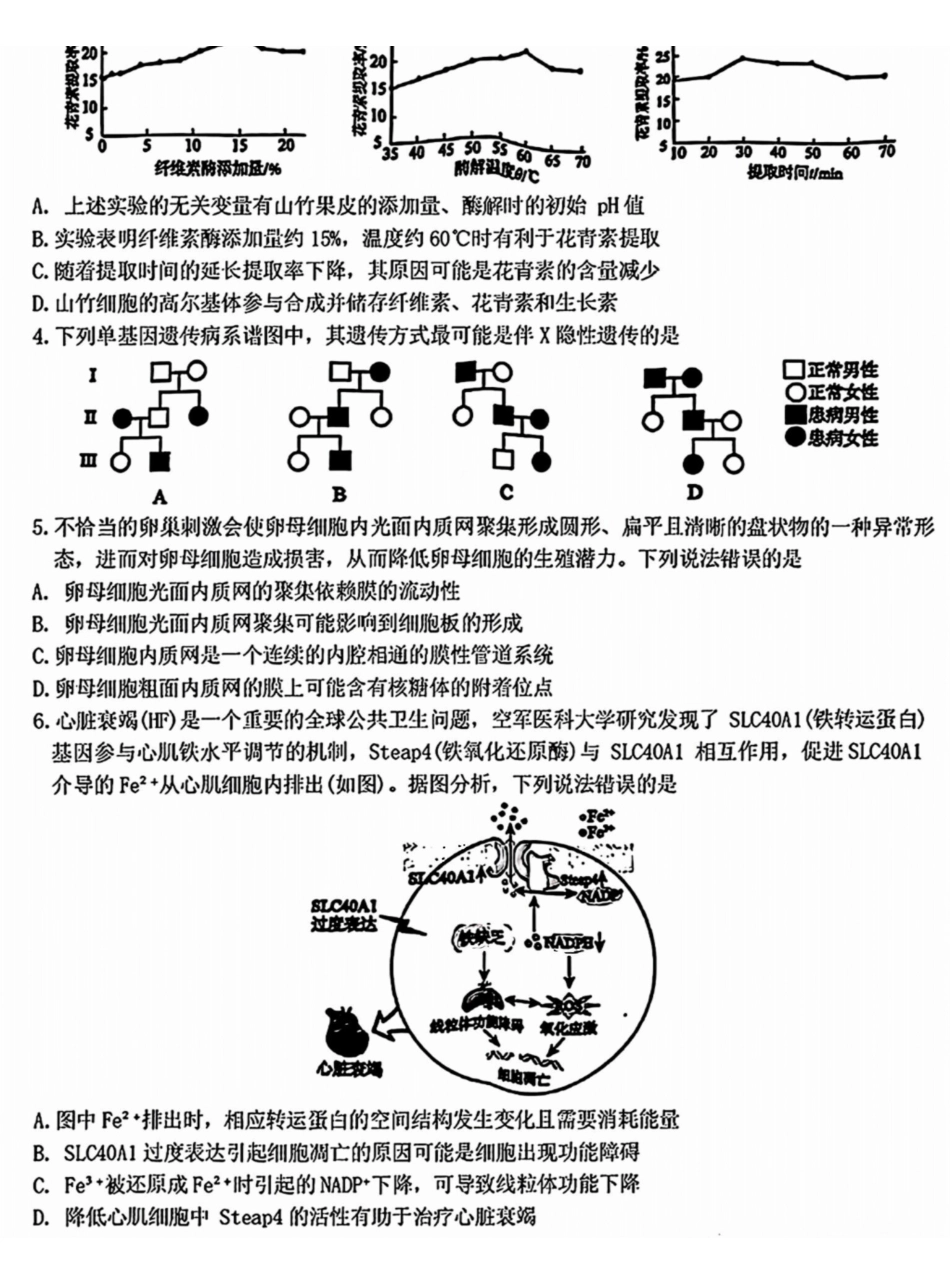【安徽小高考】安徽省鼎尖名校2025届高三月联考(.8-.9)生物试卷+答案.pdf_第2页