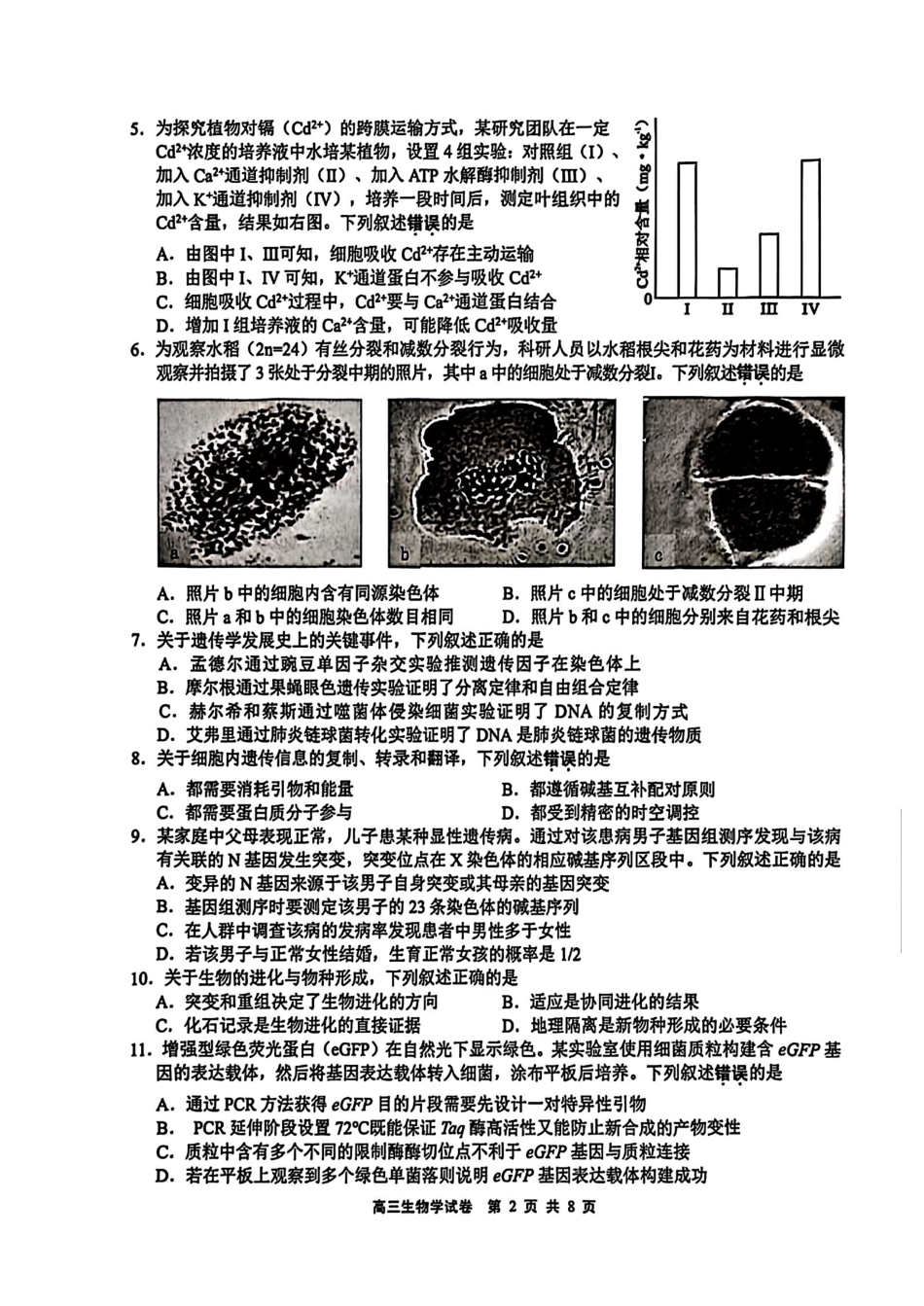 【生物试卷】江苏省无锡市2025年秋学期高三期中教学质量调研测试(.4-.6).pdf_第2页