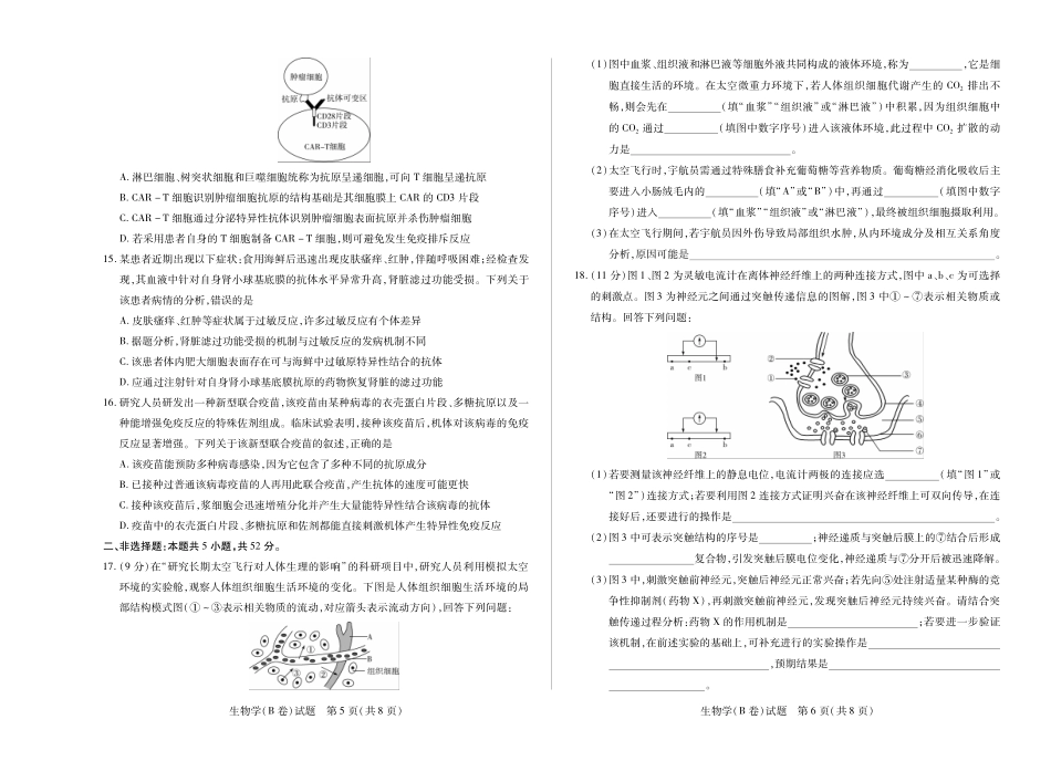 【生物学B卷】天一大联考2025-2026学年高二年级阶段性测试（一）.pdf_第3页