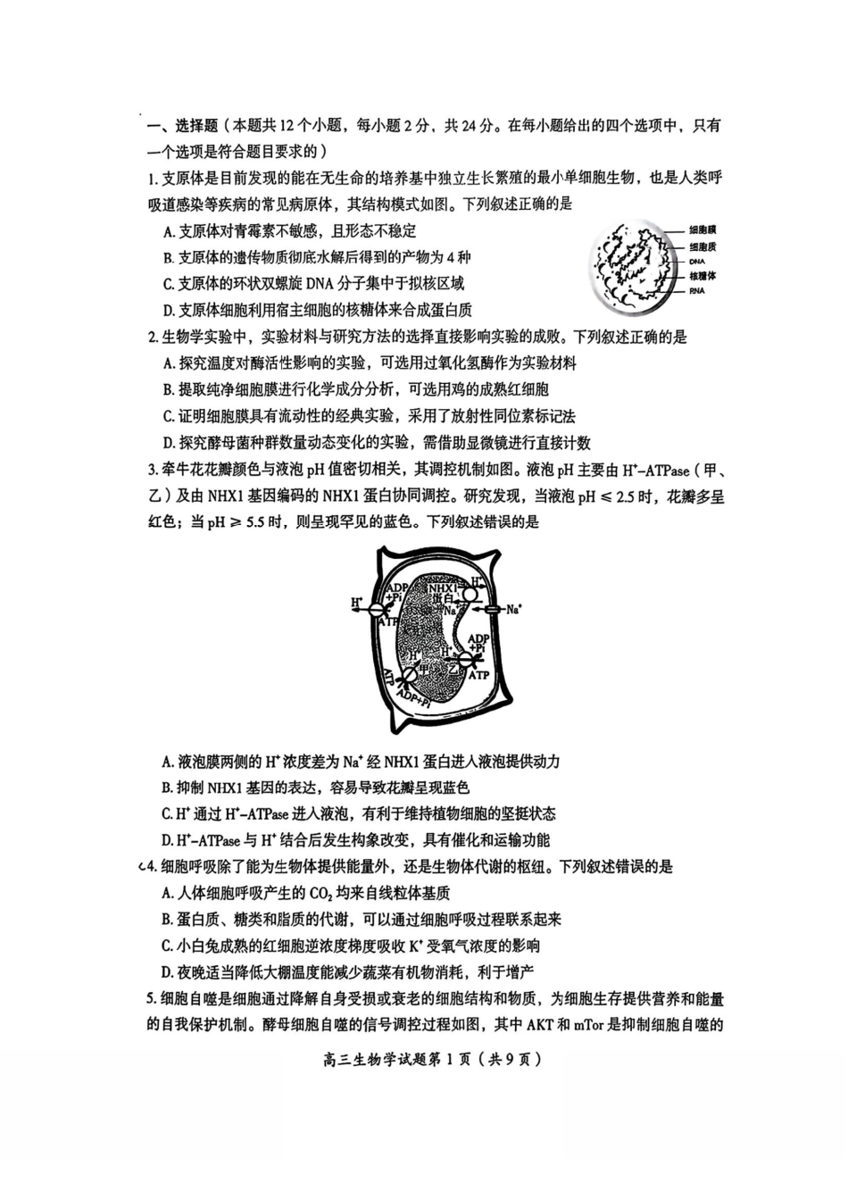 2026届湖南省郴州市高三上学期第一次教学质量监测生物试题（含答案）.pdf_第2页